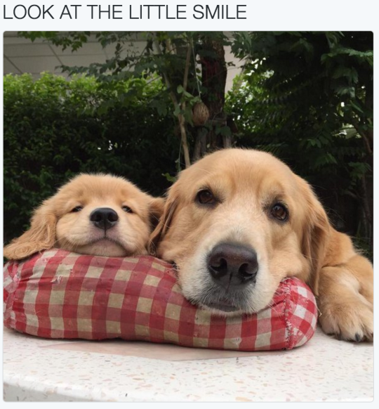 Smješko i tata dočekali vikend