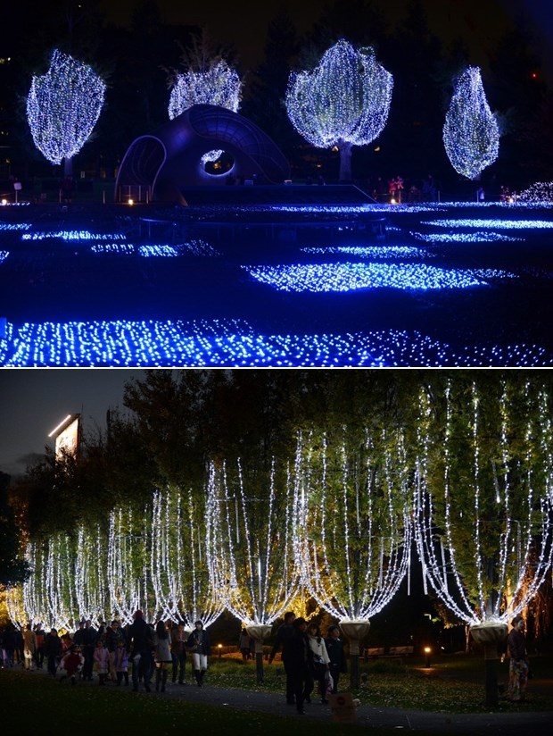 Japanska čarobna "Božićna šuma"