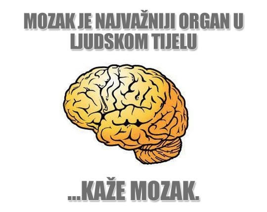 Bahati mozak misli samo na sebe