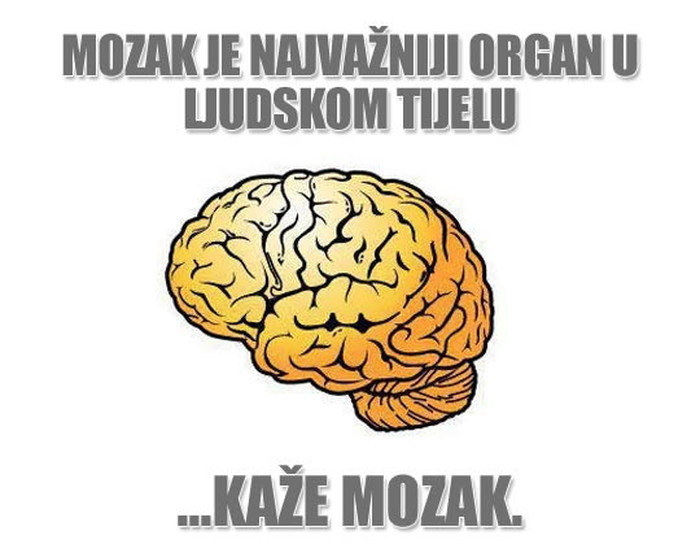 Bahati mozak misli samo na sebe