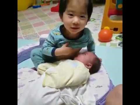 VIDEO Mala seka je bila gladna, pa ju je dijete pokušalo nahraniti na najčudniji način!