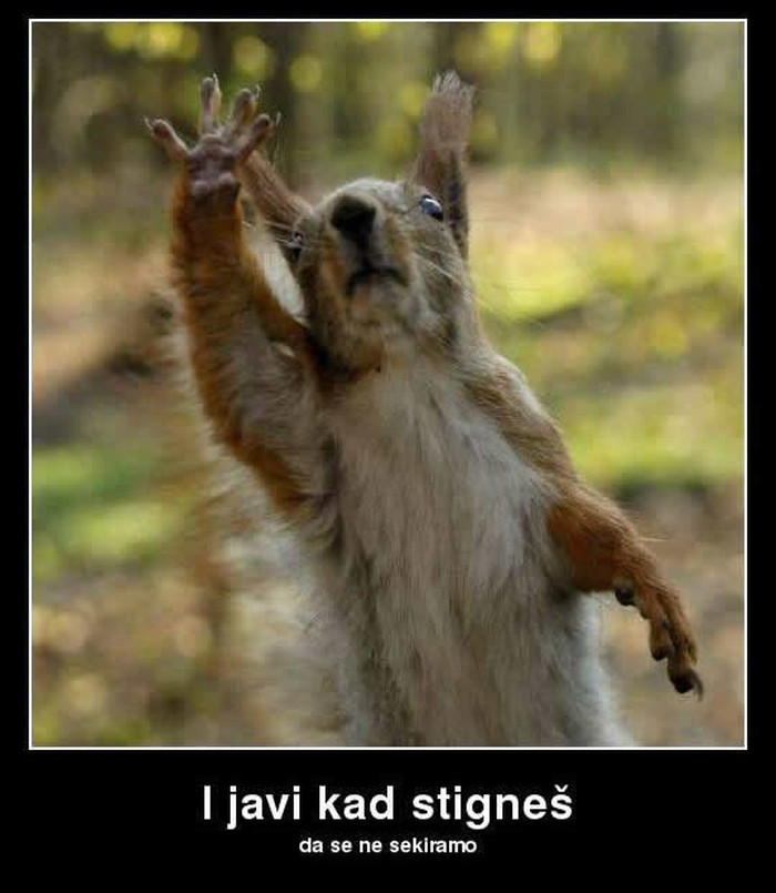 Kad ideš na put