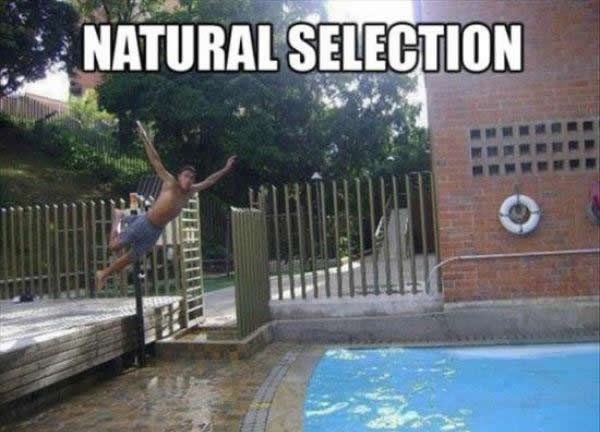 Prirodni odabir na djelu: Izumiranje glupih