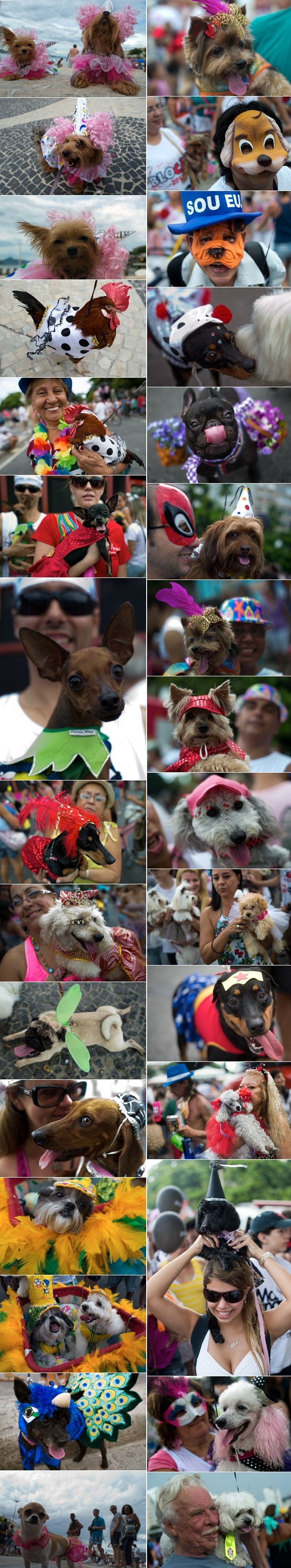 Životinjski karneval u Brazilu