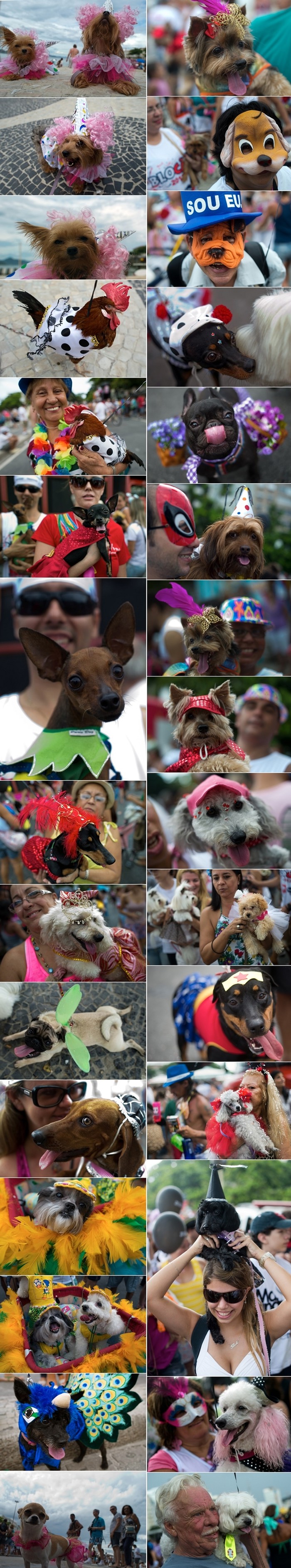 Životinjski karneval u Brazilu