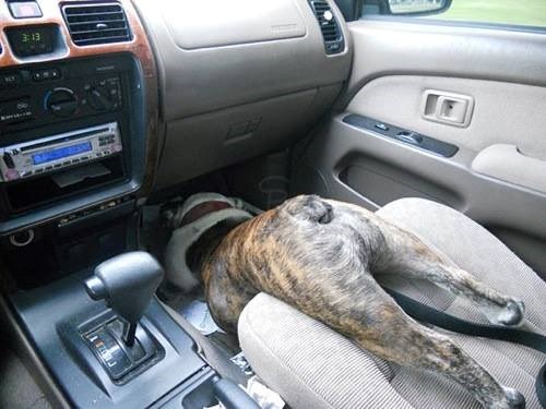 Stari, daj me ubuduće upozori kad planiraš zakočiti!