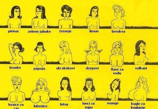 Razni ulični nazivi za sise!