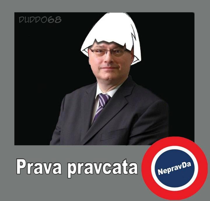 Kalimero je bio žutokljunac, Josipović je profić