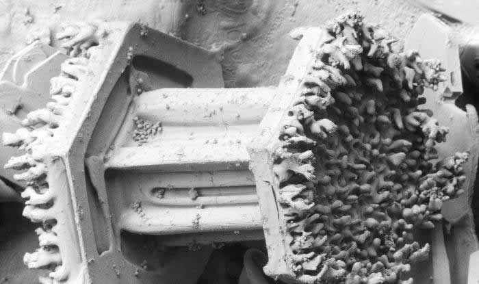 Snježna pahuljica pod mikroskopom