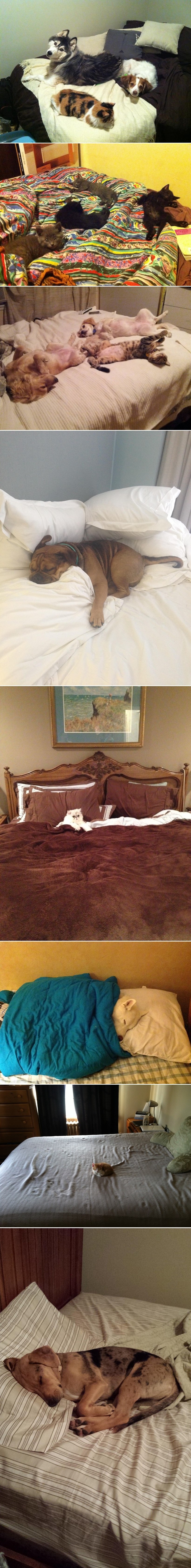 GALERIJA: ''Mi smo se smjestili, ti vidi šta ćeš...''