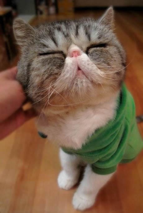 "To je to mjesto, to je tooo mjestooooomjauuuuu!"