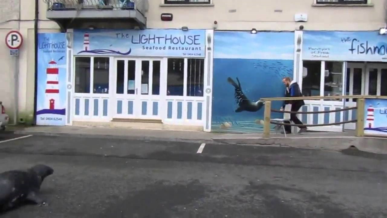 Tuljan Sammy svakog dana prelazi cestu i ima jako dobar razlog za to!