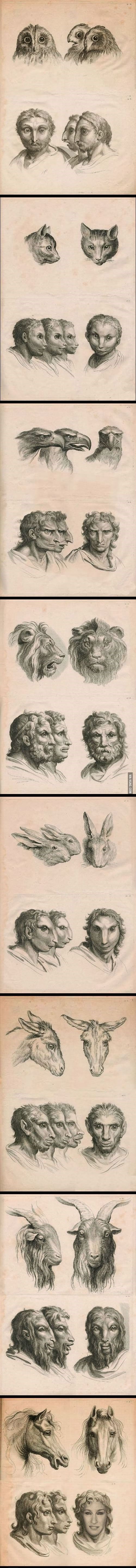 GALERIJA: Kako su ljudi zamišljali evoluciju čovjeka