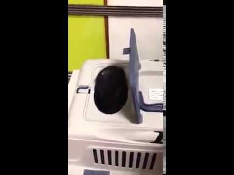 VIDEO: Nekad ti stvarno treba malo privatnosti