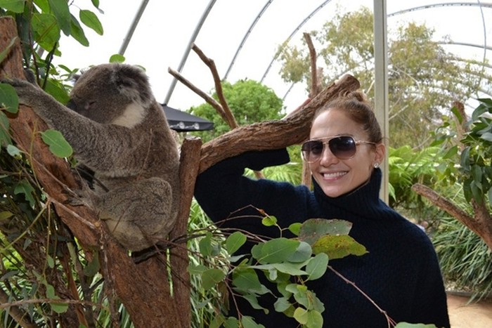 J.Lo pozirala s koalom