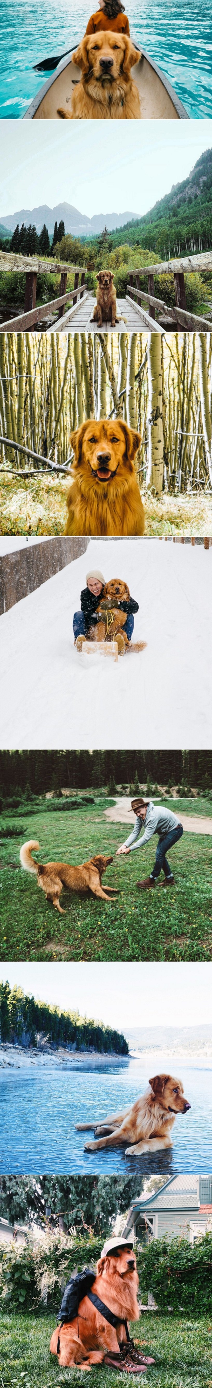 GALERIJA: Mudri pas avanturist mami vas na uzbudljiva putovanja i mrdanje od svakodnevice