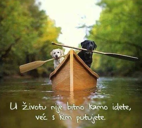 Uz pravog suputnika uživa se gdje god te život odnese