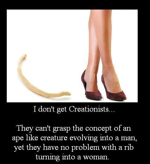 Čovjek od "majmuna" ne, ali žena od rebra da?