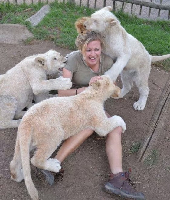Malo se previše zaigrala s "malim macama"?