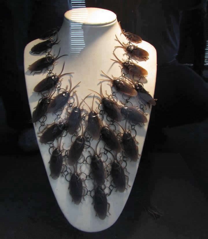 Ogrlica od žohara: Draga će ti vrištati od sreće