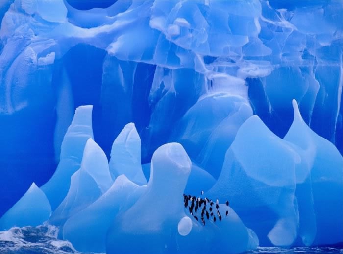 Nevjerojatan, nezemaljski led - Antarktika