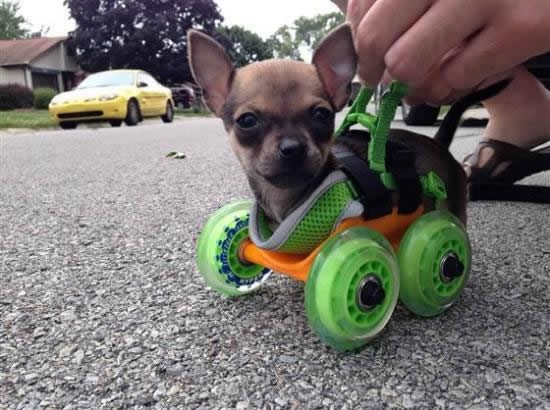 3D printerom pomogao najboljem frendiću