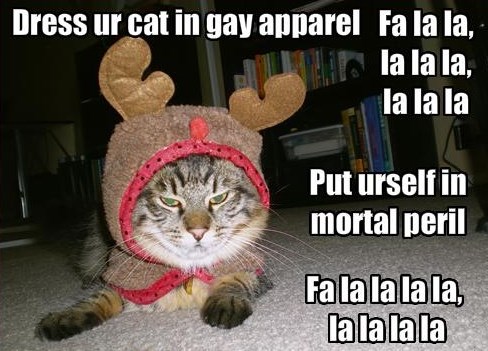 Mačak nimalo oduševljen kostimom soba