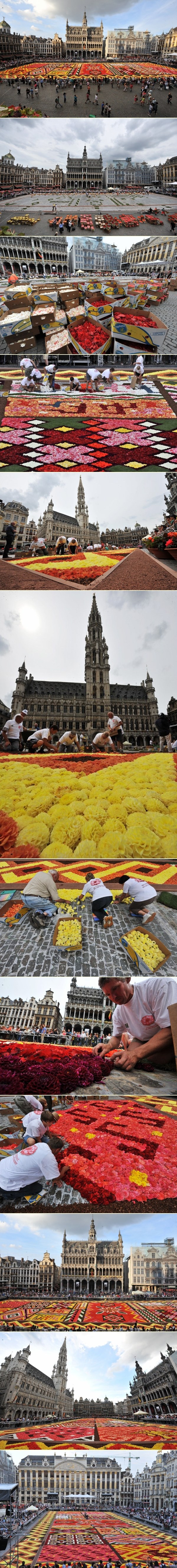 Prekrasni šareni cvjetni "tepih" od 600.000 cvjetova