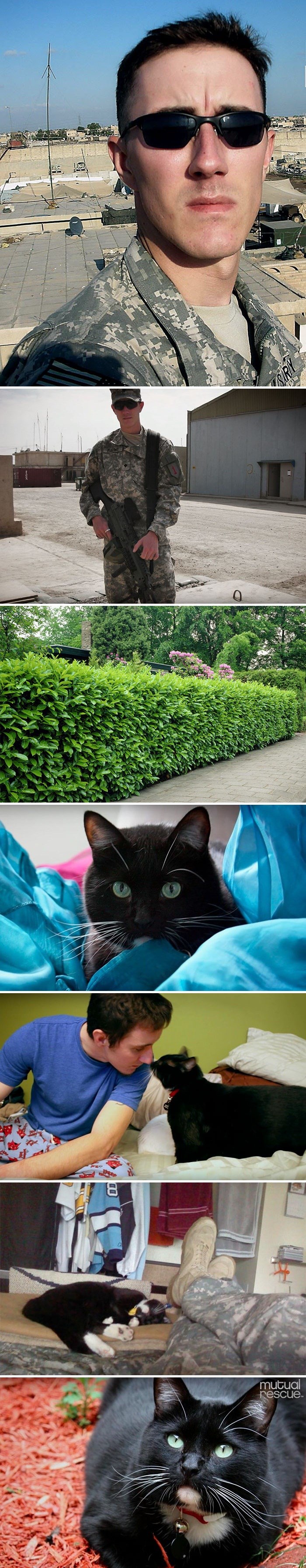 Ratni veteran je htio počiniti samoubojstvo, a ona je čuo šuškanje u grmu...