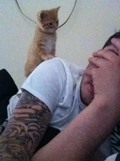 Gazda, jel tebi to pada marak na oči kad te budim?!