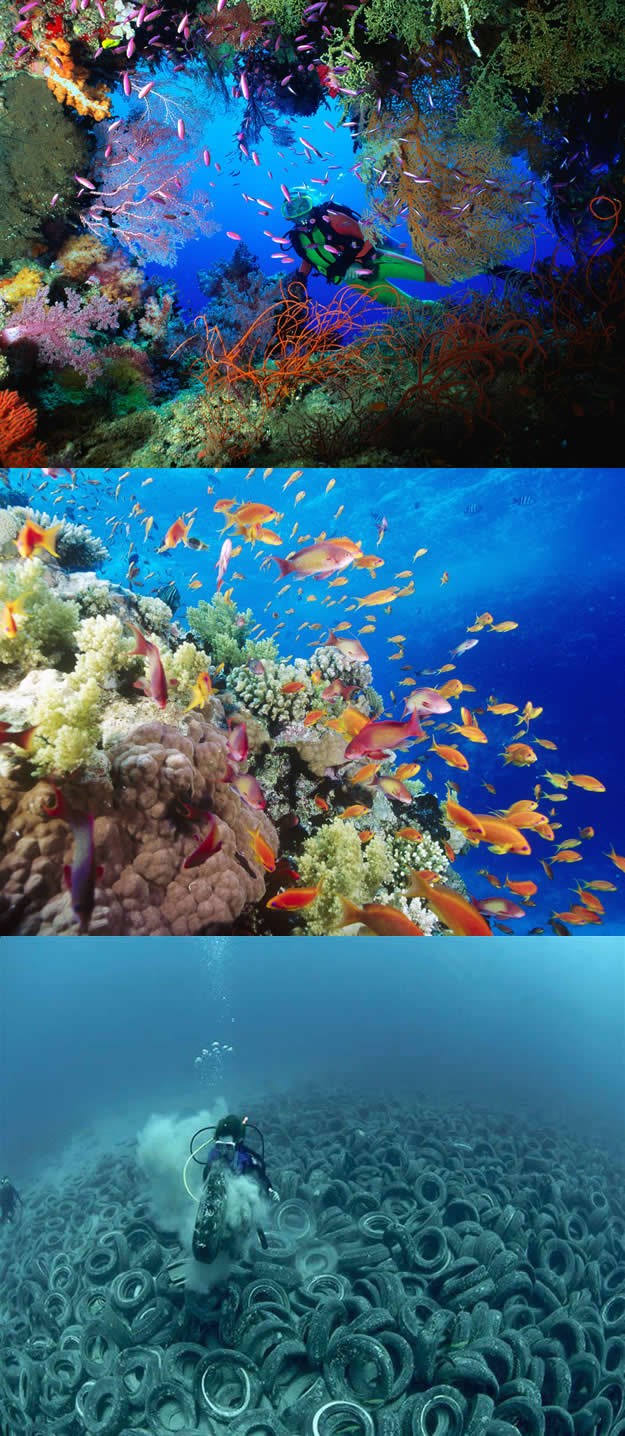 Glupa priroda: Čovjek je nadmašio prirodu i stvara čudesa!