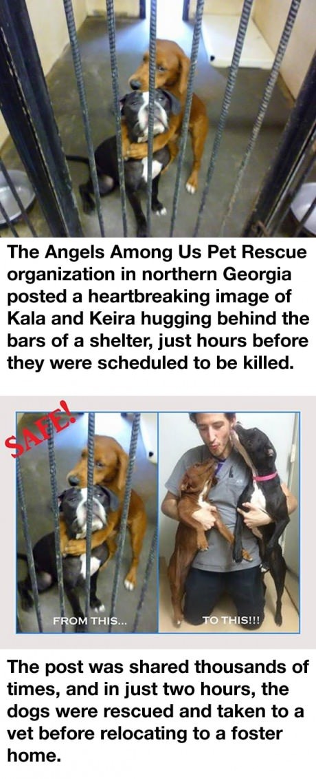 Sjećate se njih dvije? Na sigurnom su!