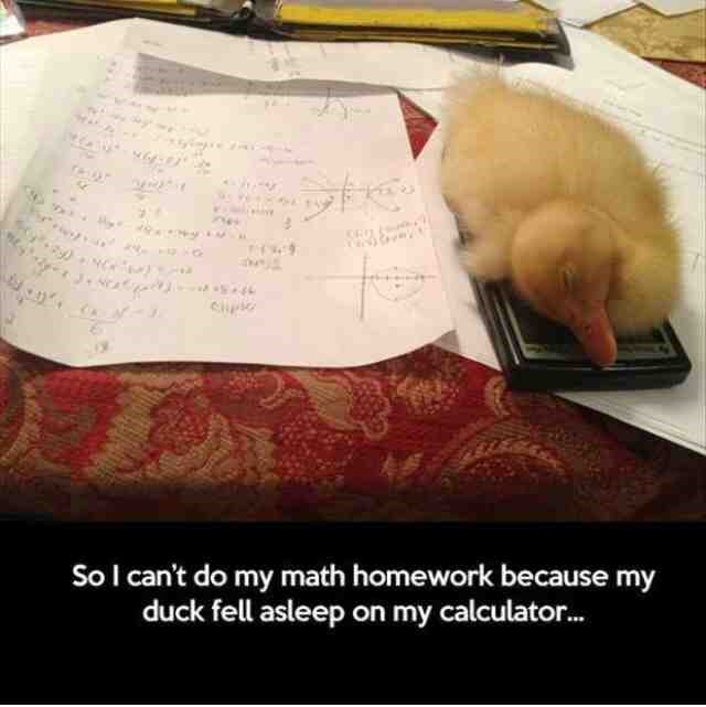 "Pas mi je pojeo zadaću" više nije u modi