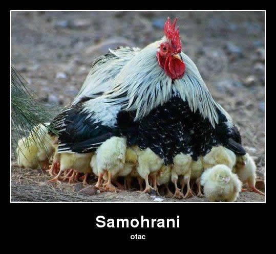 Volio si šarati, eto ti sad na!