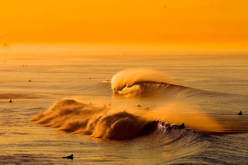 Surfanje na zlatnim valovima