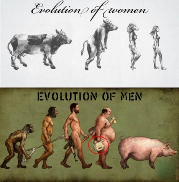 Evolucija spolova kako vidimo jedni druge