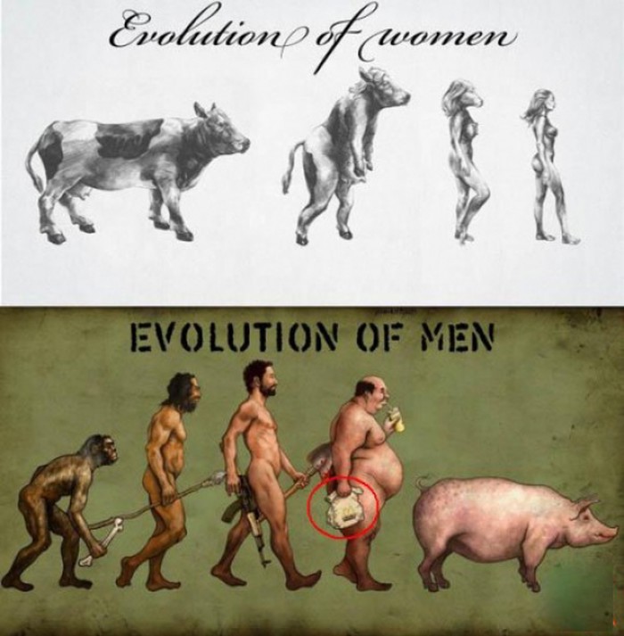 Evolucija spolova kako vidimo jedni druge