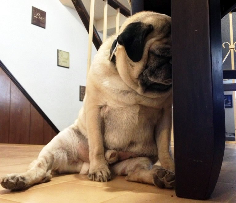 Dosta mu je svega, ipak je nedjelja