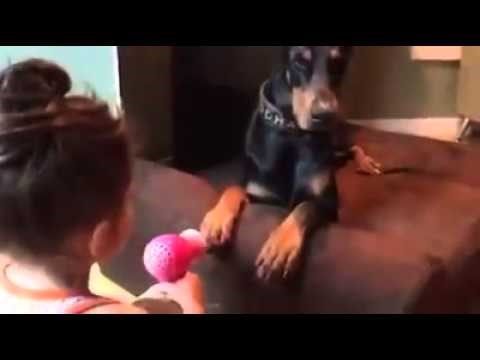 haha..što su sve u stanju pretrpjeti..video