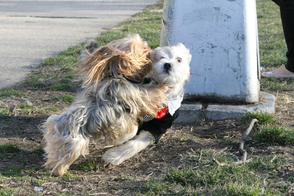 Alo, mala, lakše malo, svi nas gledaju!