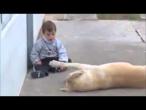 Strpljivi najbolji prijatelj nježno čuva dečkića koji ima sindrom Down