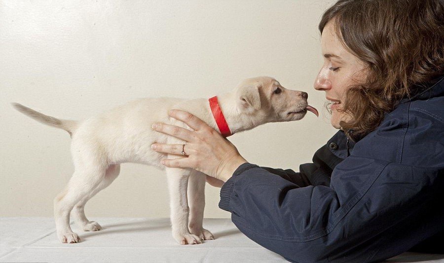 Ljubav je nezaustavljiva