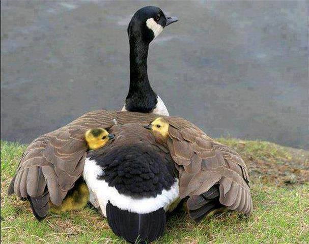 U maminom zagrljaju je najbolje