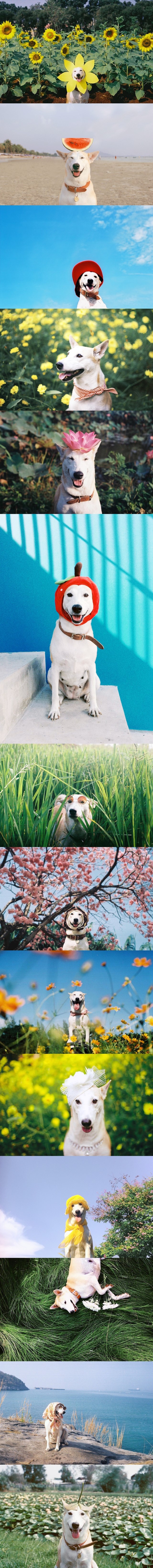 kad si lijepa pa ti sve dobro stoji..:))