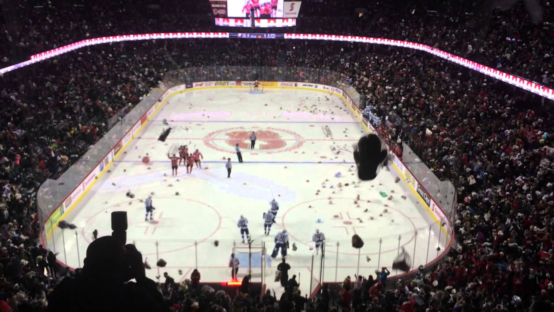 SAMO U KANADI: Hokejaški tim nakon prvog gola zatrpan sa 28815 medvjedića!