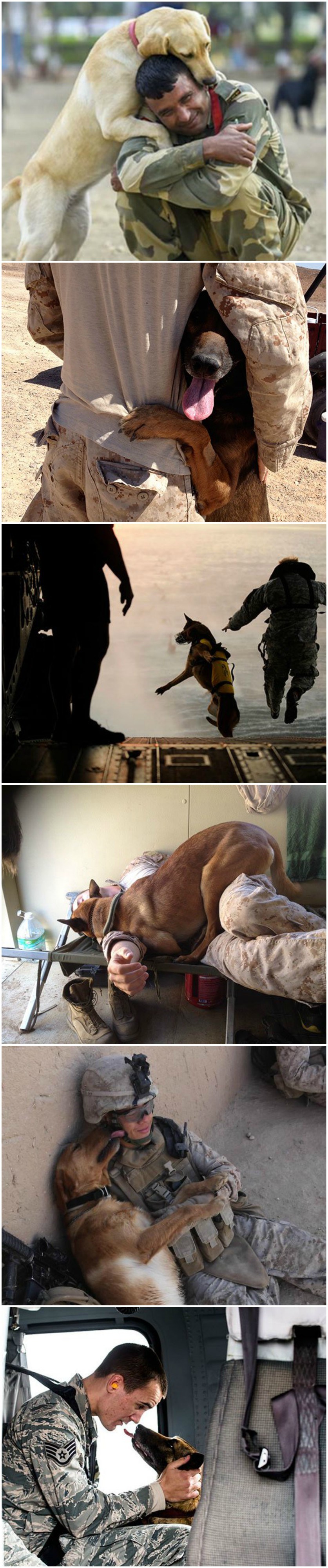 6 fotografija koje će nam pokazati da ljudska vrsta ne zaslužuje ova bića