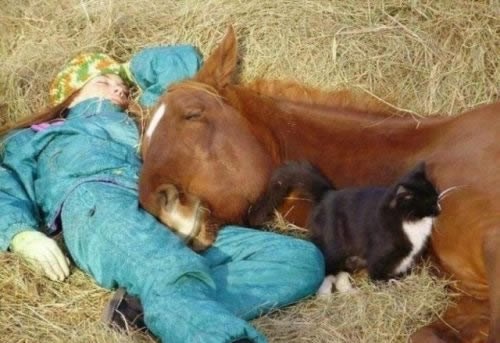 Seoska idila: Nakon posla zaspala s vjernim konjem i macom