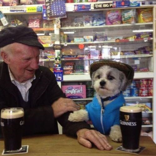 Deda i njegov pseći drug pivopija