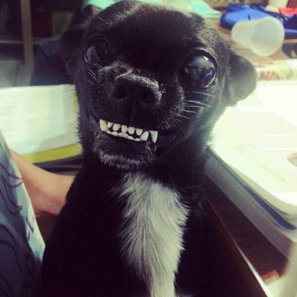 Ne. Dirati. Igračku. Ja sam Smrt, rušitelj svjetova!