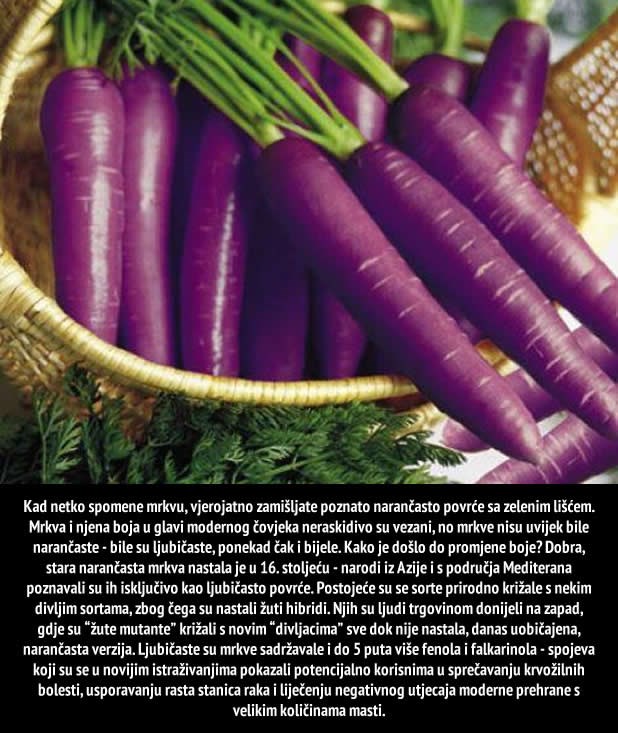 Mrkve su nekada bile ljubičaste!